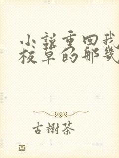 小说重回我爸当校草的那几年