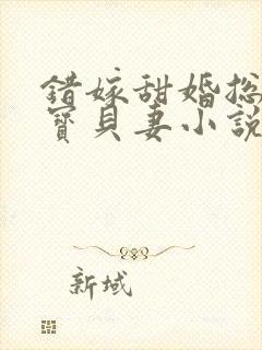 错嫁甜婚总裁的宝贝妻小说完整版