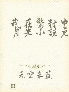 我在惊封中当白月光小说免费阅读