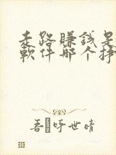 走路赚钱是哪个软件哪个挣的多呀