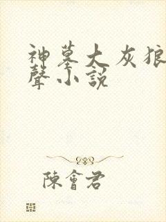 神墓大灰狼版有声小说