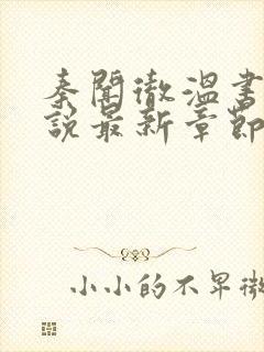 秦闻彻温书晴小说最新章节更新内容