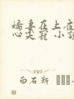 娇妻在上夜少的心尖宠 小说
