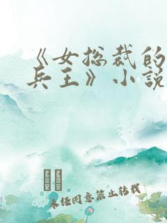 《女总裁的贴身兵王》小说