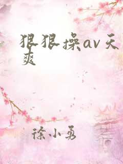 狠狠操av天天爽