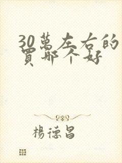 30万左右的车买哪个好