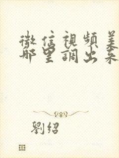 微信视频美颜从哪里调出来