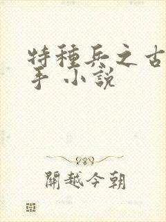 特种兵之古武高手 小说