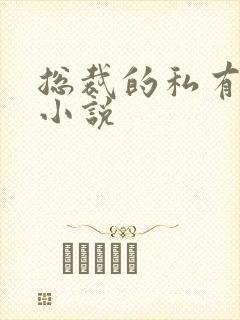 总裁的私有宝贝小说