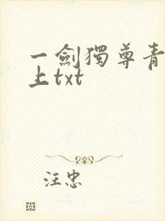 一剑独尊青鸾峰上txt