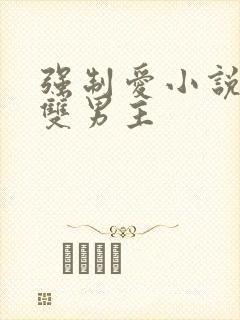 强制爱小说推荐双男主