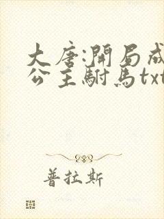 大唐:开局成了公主驸马txt下载全本