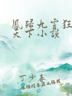 凤归九霄狂妃逆天下小说