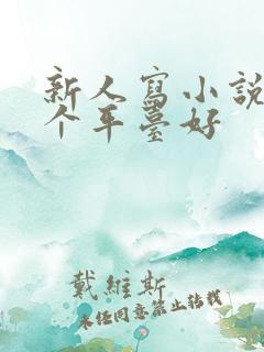 新人写小说在哪个平台好