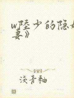 w陆少的隐婚罪妻》