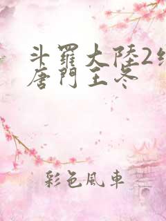 斗罗大陆2绝世唐门王冬