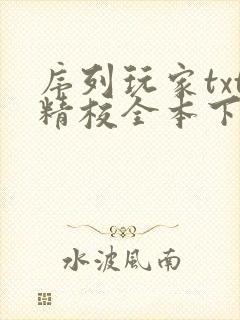 序列玩家txt精校全本下载