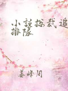 小说总裁追妻请排队