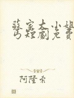 苏家大小姐嫁乞丐短剧免费观看第2集