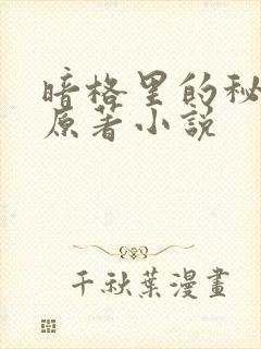 暗格里的秘密的原著小说