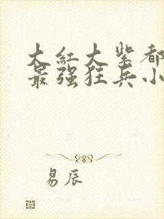 大红大紫都市之最强狂兵小说