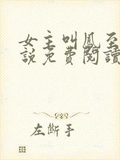 女主叫凤至的小说免费阅读