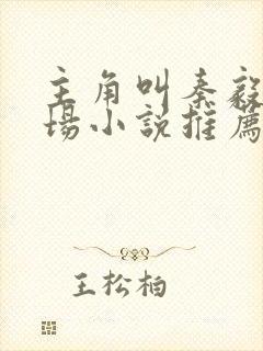 主角叫秦毅的官场小说推荐