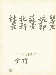 林北苏婉儿萧晴最新章节免费阅读