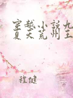 穿越小说九皇子夏天荒州王