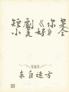 短剧《你是我的小美好》全集播放