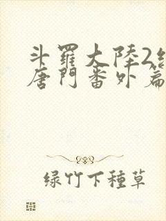 斗罗大陆2绝世唐门番外篇