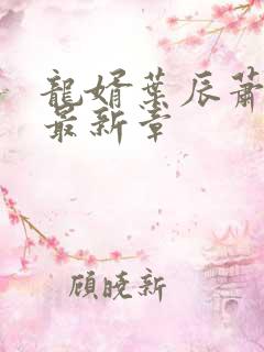 龙婿叶辰萧初然最新章