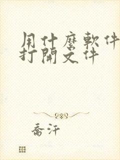 用什么软件可以打开文件