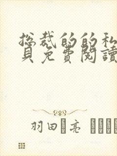 总裁的的私有宝贝免费阅读