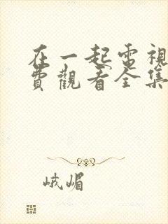 在一起电视剧免费观看全集完整版