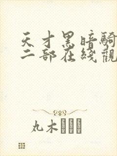 天才黑暗骑士第二部在线观看免费