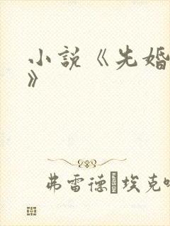 小说《先婚后爱》