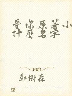 爱你原著小说叫什么名字