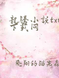 龙腾小说txt下载网