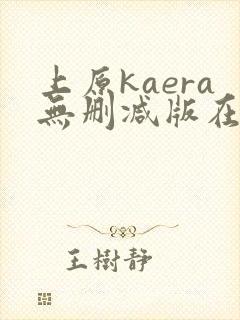 上原kaera无删减版在线播放