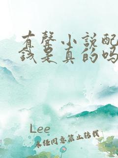 有声小说配音赚钱是真的吗