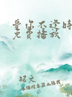 爱你不逢时短剧免费播放