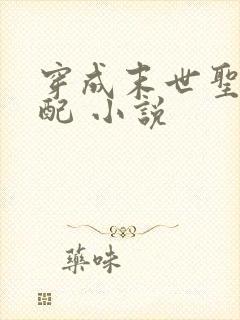 穿成末世圣母女配 小说