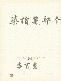 药指是哪个动漫