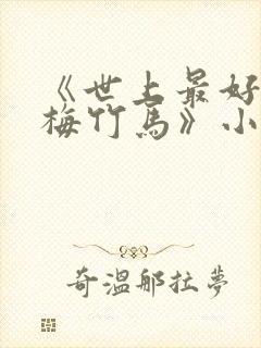 《世上最好的青梅竹马》小说