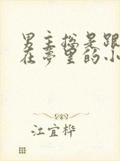 男主总是跟女主在梦里的小说