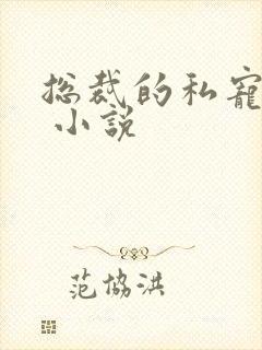 总裁的私宠甜妻 小说