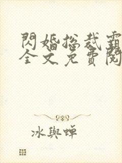 闪婚总裁霸道宠全文免费阅读