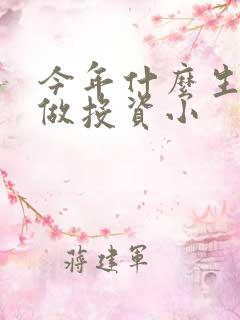 今年什么生意好做投资小