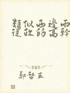 类似西边雨男主从政的高干文耳洞